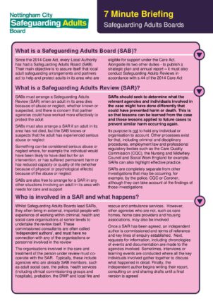 Safeguarding Adults Review Learning Briefings